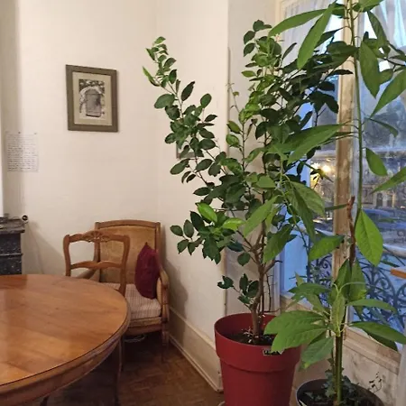 Chateau View D'hotes Bed and Breakfast 3*