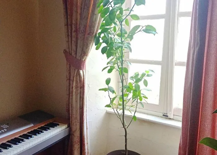 Chateau View D'hôtes 3*